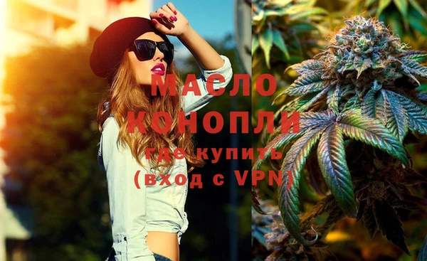 СК Алексин