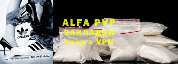 СК Алексин