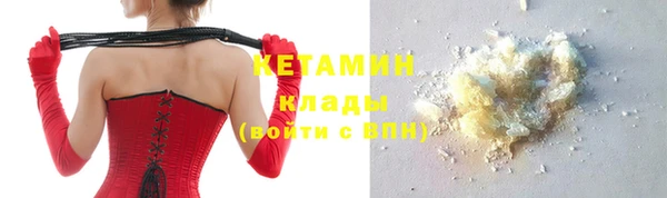 СК Алексин