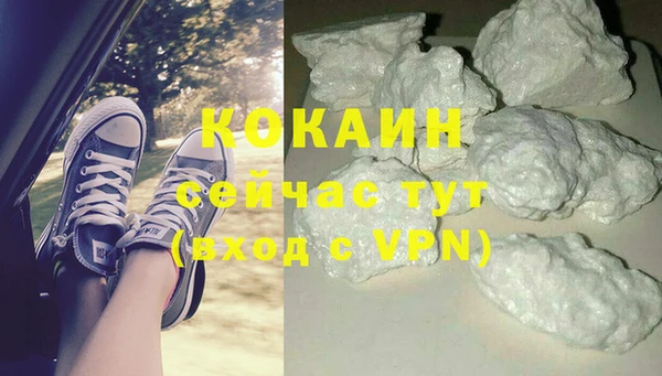 СК Алексин