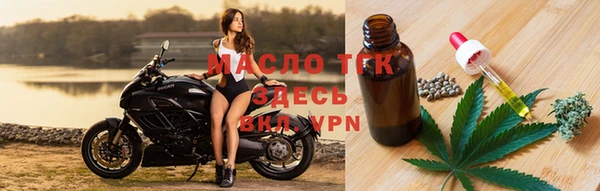 СК Алексин