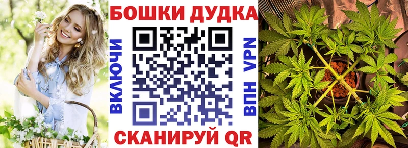 кракен вход  Щигры  Каннабис ГИДРОПОН  закладка 